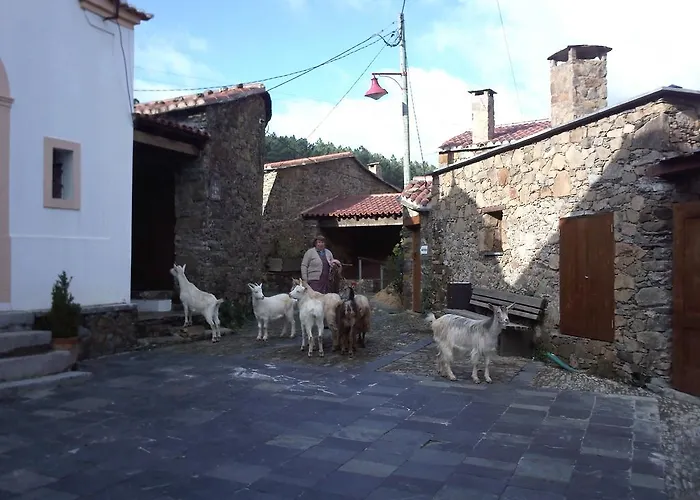 Casinha Do México *