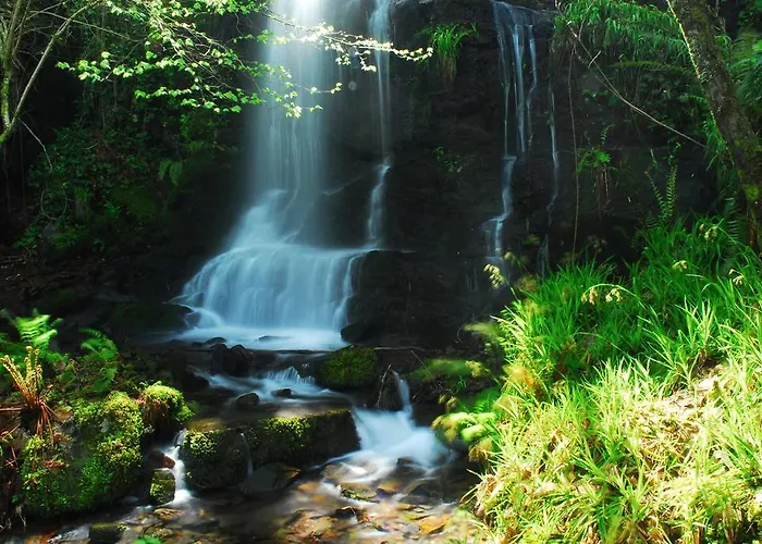 Hébergement de vacances Casinha Do México Gondramaz