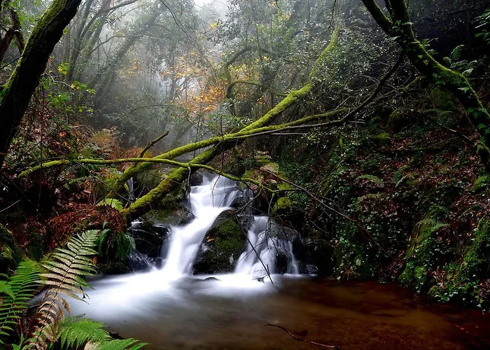 Hébergement de vacances Casinha Do México